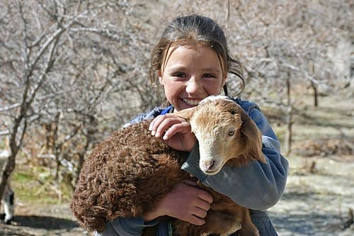 Village life in Upper Gojal
