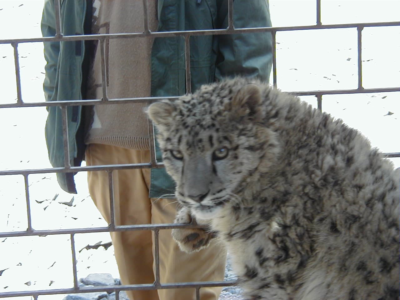 Wildlife & Conservation