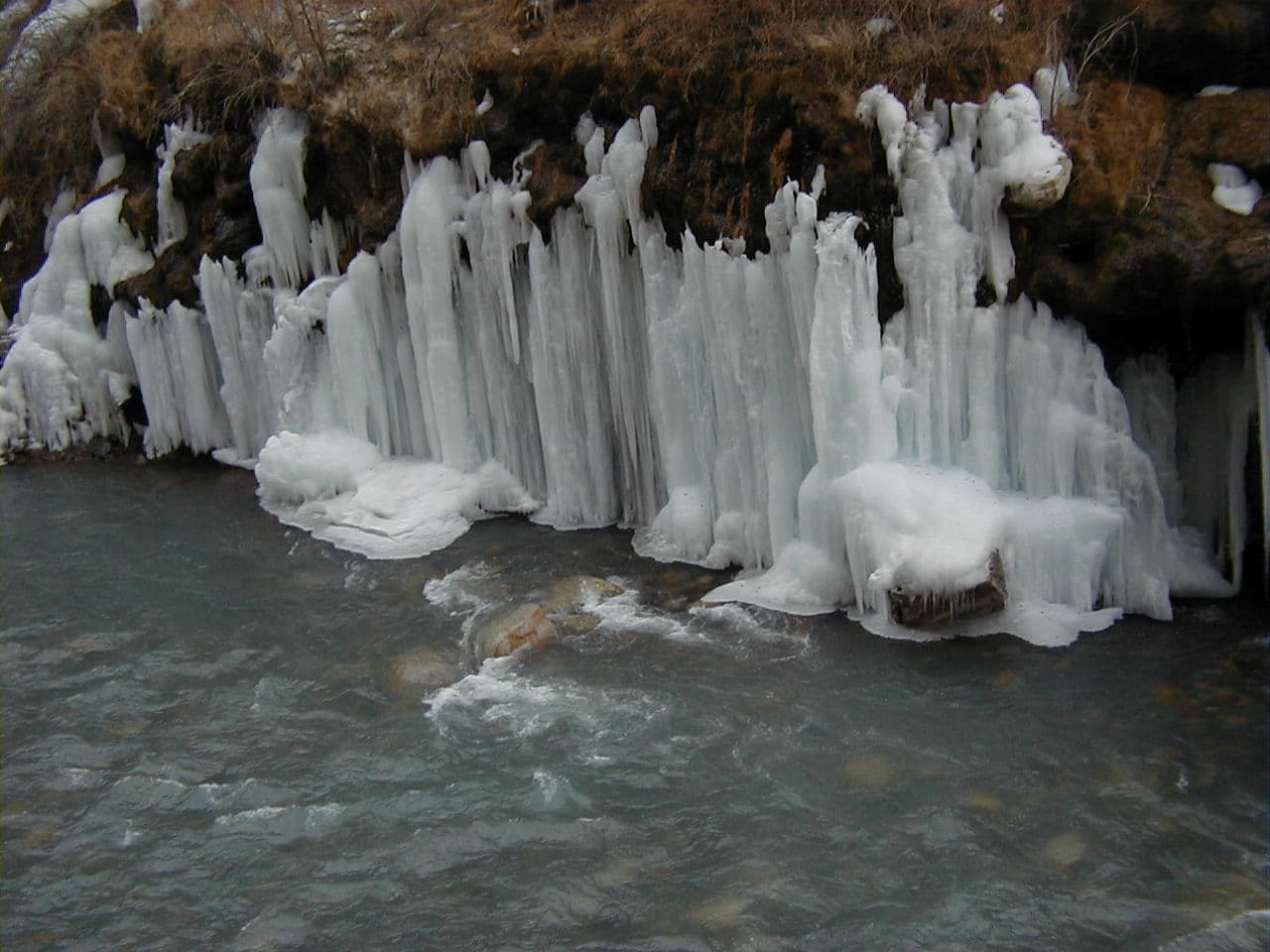 Four New Biodiversity Corridors Completed at KNP